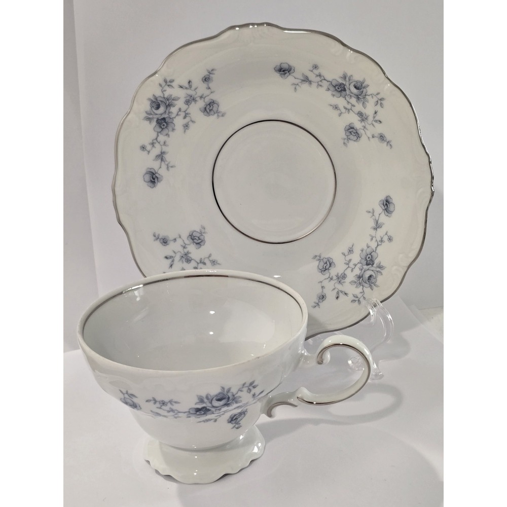 Johann Haviland Blue Garland Tea Cup & Saucer Bavaria Germany Vintage